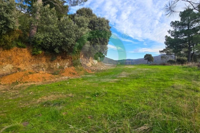 Terreno para Venda em Vinhais Foto 1