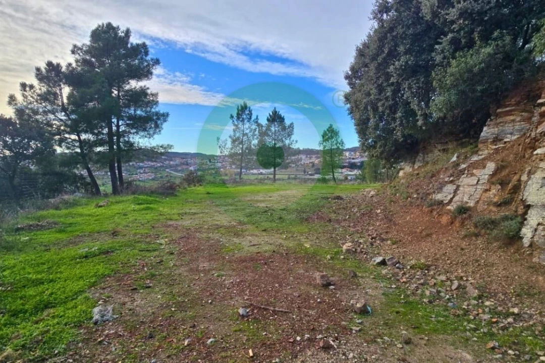 Terreno para Venda em Vinhais Foto 2