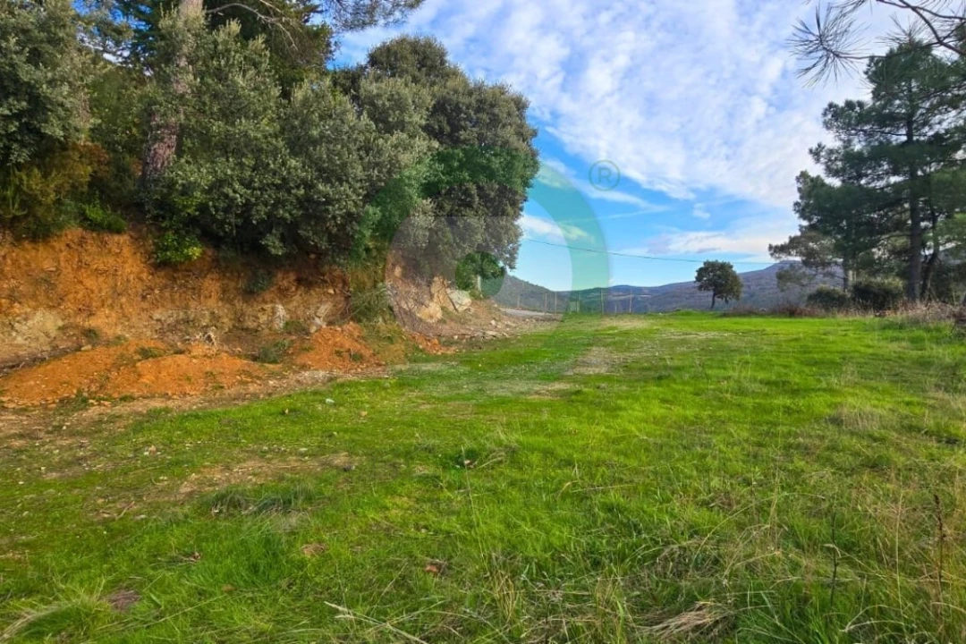 Terreno para Venda em Vinhais Foto 1