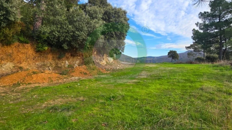 Terreno para Venda em Vinhais