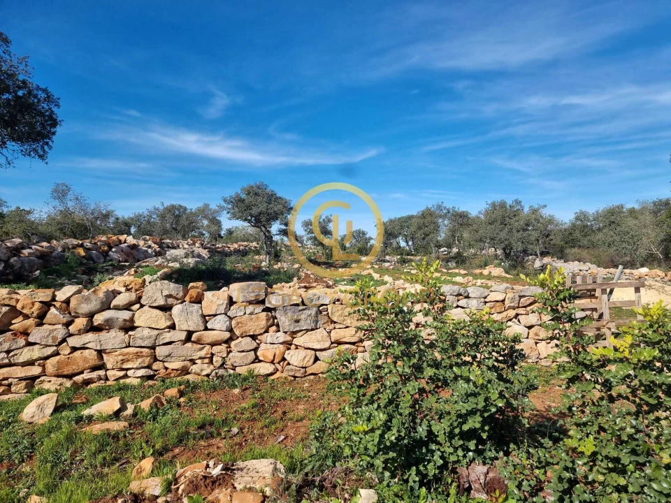 Terreno para Venda em Loule (São Clemente) Foto 8