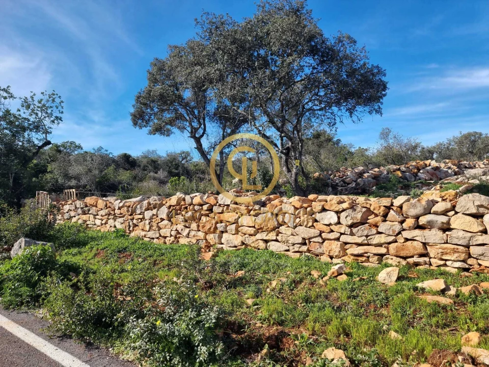 Terreno para Venda em Loule (São Clemente) Foto 7