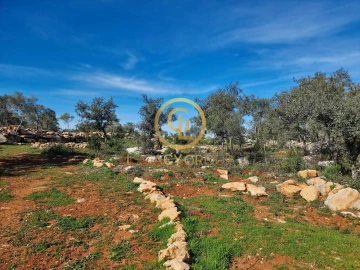 Terreno para Venda em Loule (São Clemente)