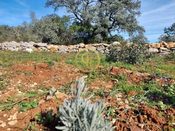 Terreno para Venda em Loule (São Clemente)