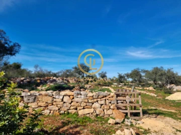 Terreno para Venda em Loule (São Clemente)