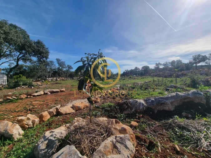 Terreno para Venda em Loule (São Clemente) Foto 11