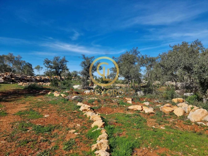 Terreno para Venda em Loule (São Clemente) Foto 9