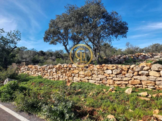 Terreno para Venda em Loule (São Clemente) Foto 7