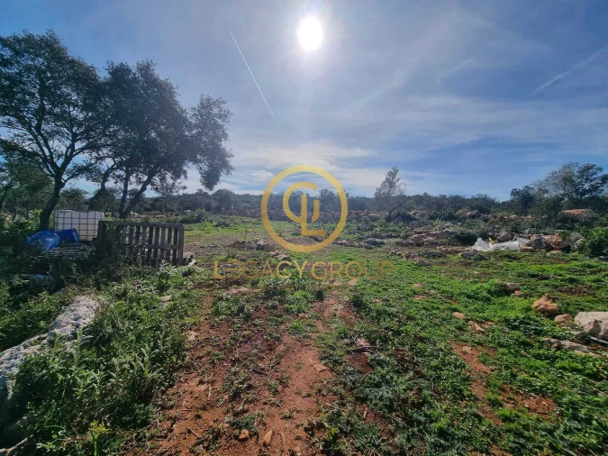 Terreno para Venda em Loule (São Clemente) Foto 14