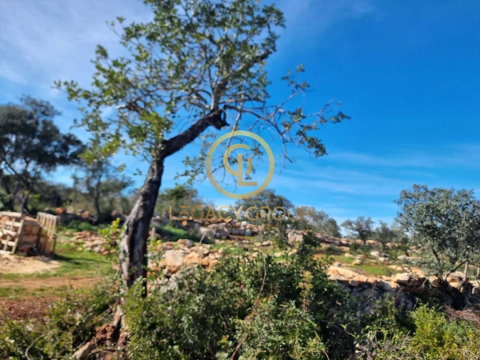 Terreno para Venda em Loule (São Clemente) Foto 3