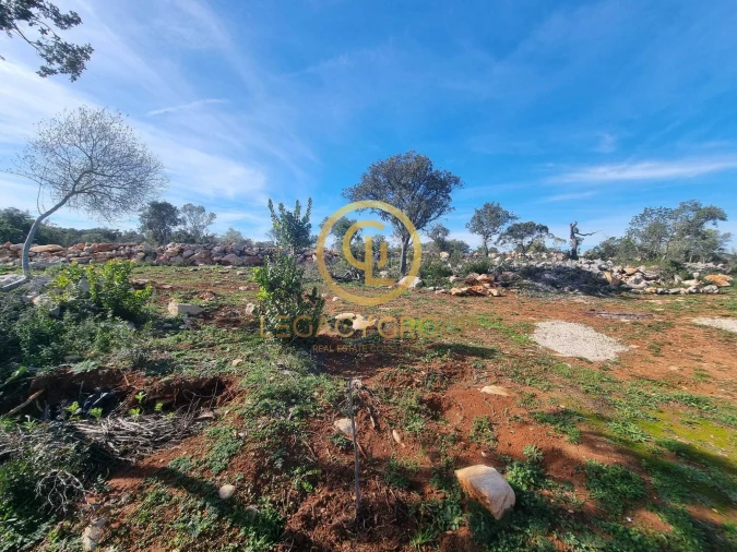 Terreno para Venda em Loule (São Clemente) Foto 15