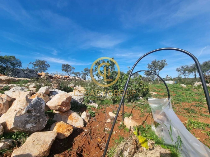 Terreno para Venda em Loule (São Clemente) Foto 12