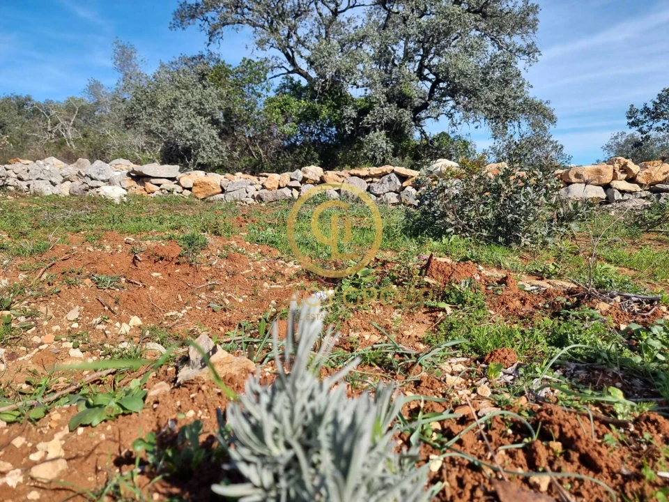 Terreno para Venda em Loule (São Clemente) Foto 10