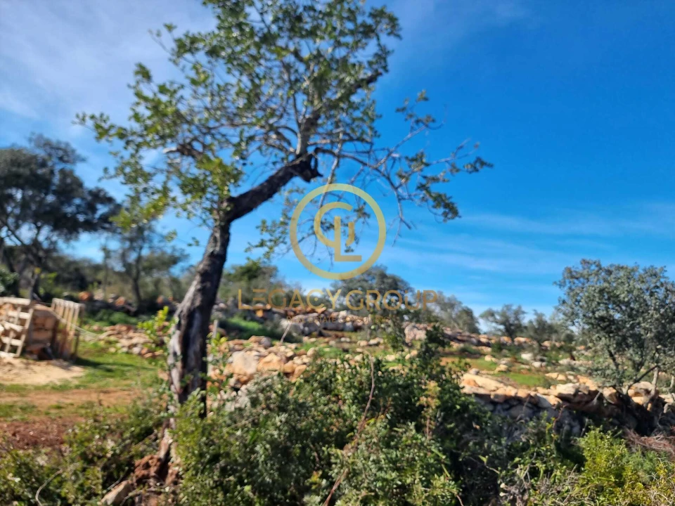 Terreno para Venda em Loule (São Clemente) Foto 3