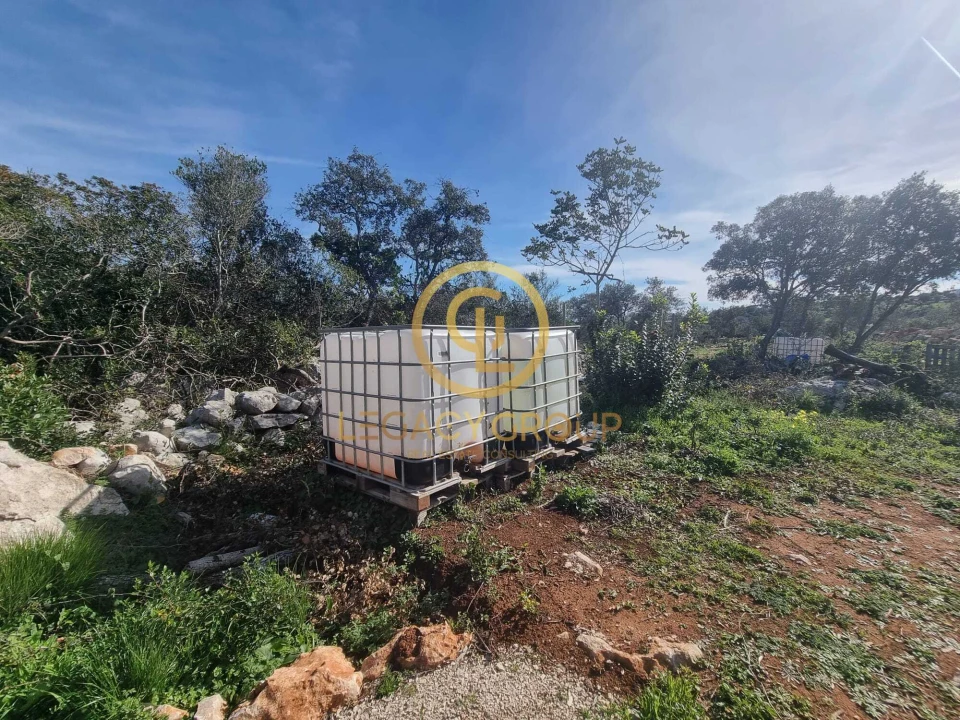 Terreno para Venda em Loule (São Clemente) Foto 16