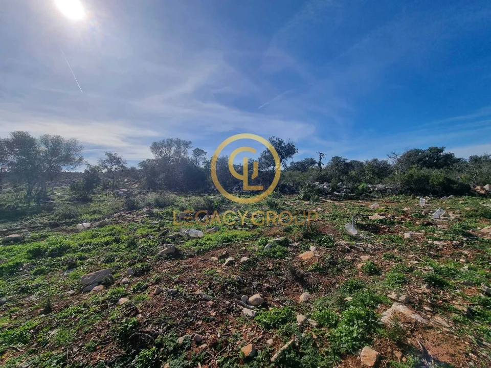 Terreno para Venda em Loule (São Clemente) Foto 17