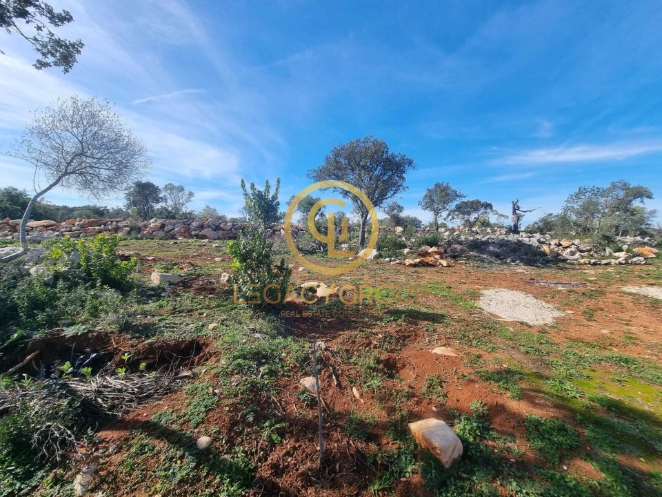 Terreno para Venda em Loule (São Clemente) Foto 15