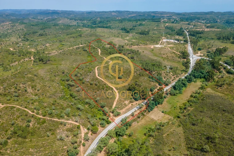 Terreno para Venda em Salir Foto 6