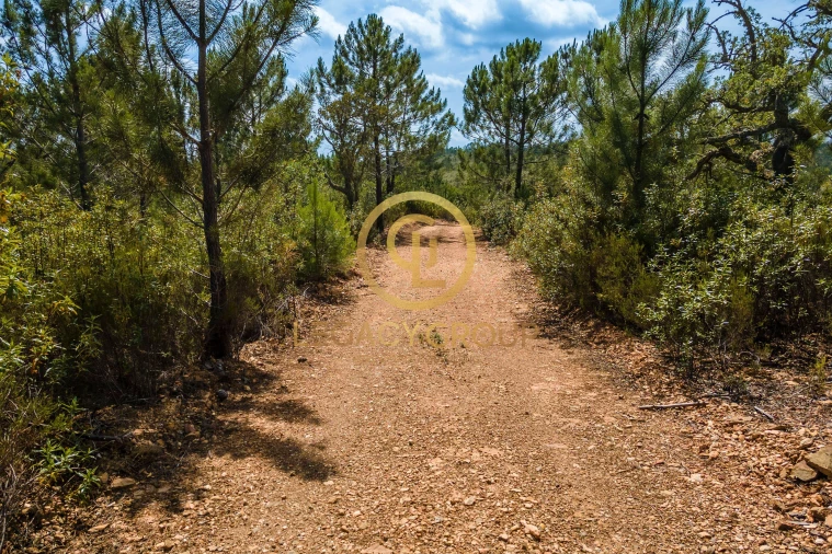 Terreno para Venda em Salir Foto 1
