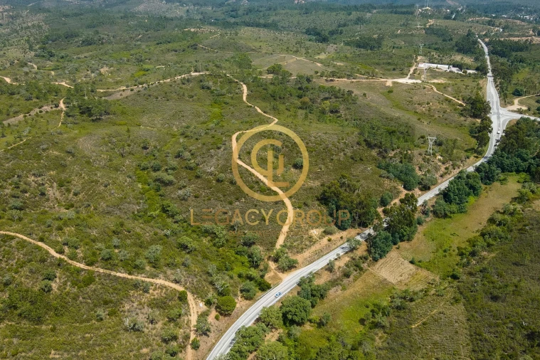 Terreno para Venda em Salir Foto 11