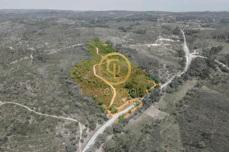 Terreno para Venda em Salir Foto 14