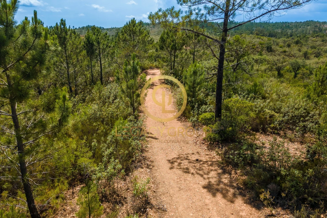Terreno para Venda em Salir Foto 9