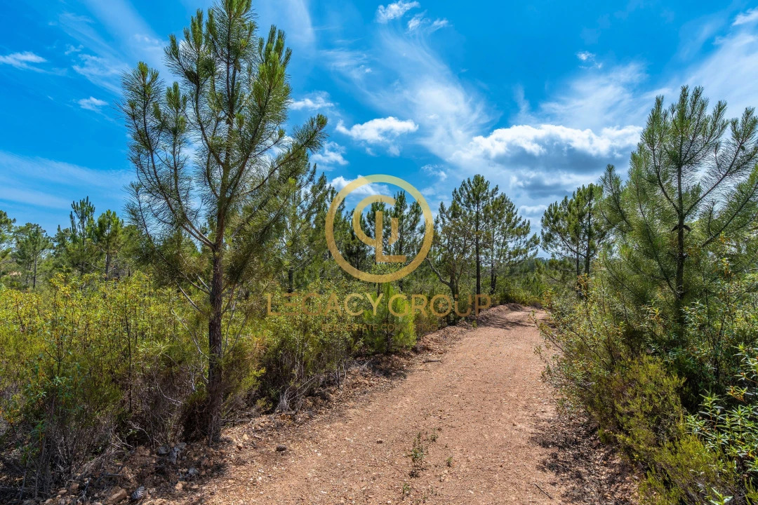 Terreno para Venda em Salir Foto 3
