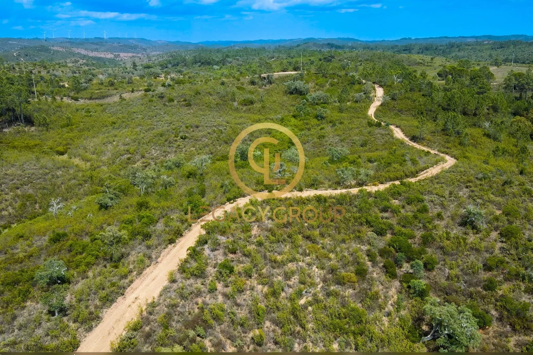 Terreno para Venda em Salir Foto 10