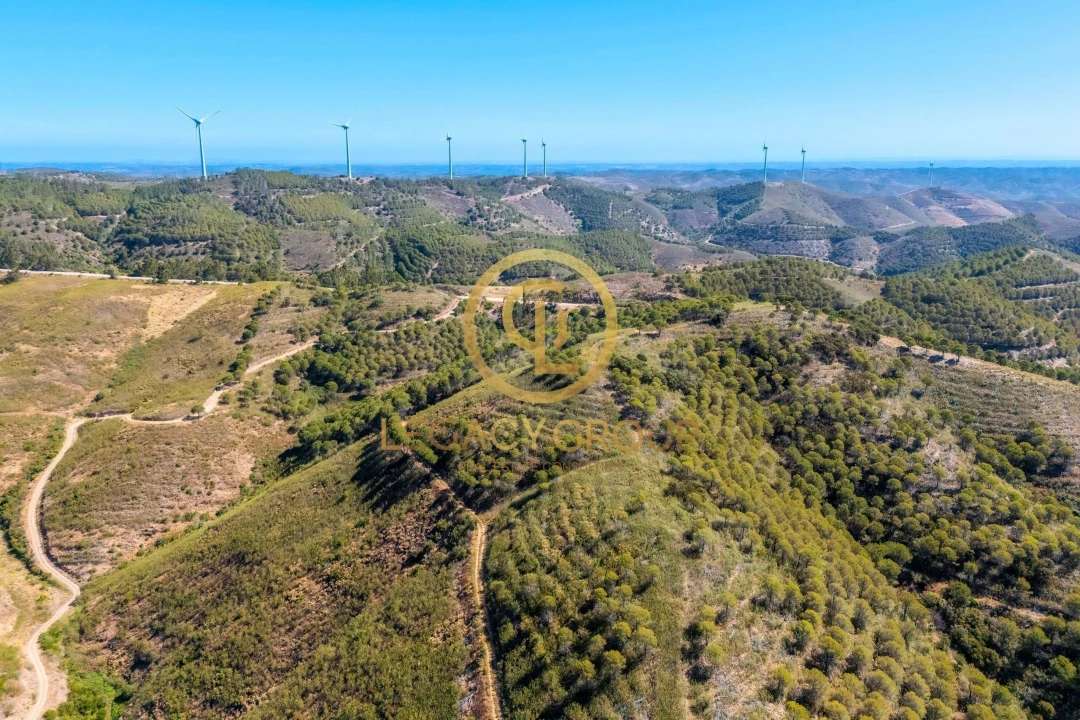 Terreno para Venda em Cachopo Foto 2