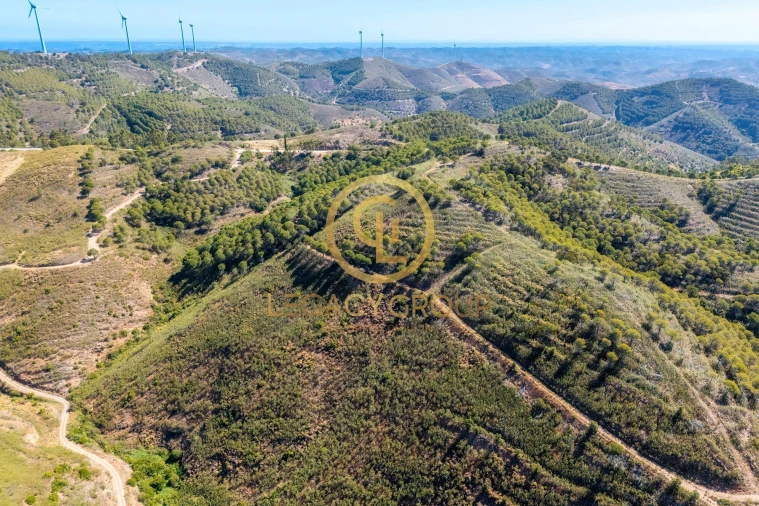 Terreno para Venda em Cachopo Foto 7