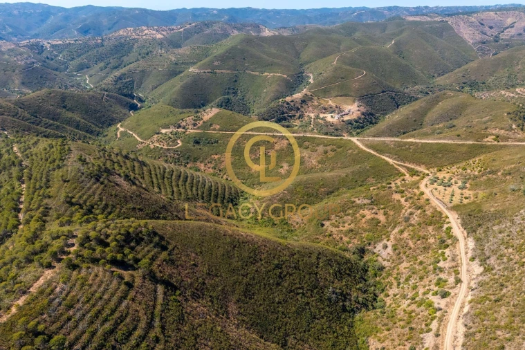 Terreno para Venda em Cachopo Foto 4