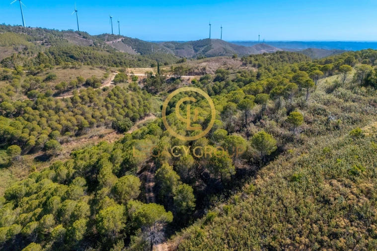 Terreno para Venda em Cachopo Foto 18