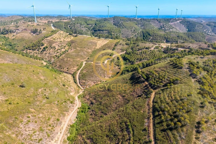 Terreno para Venda em Cachopo Foto 12