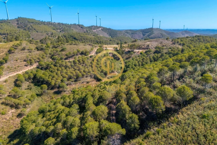 Terreno para Venda em Cachopo Foto 14