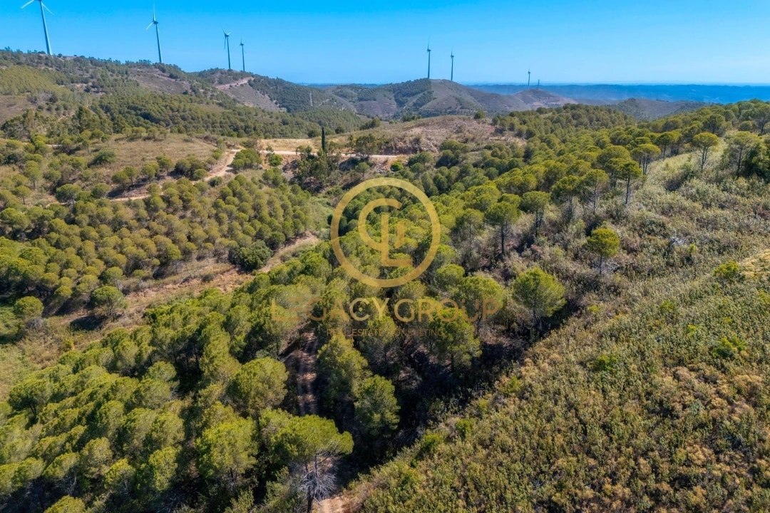 Terreno para Venda em Cachopo Foto 18