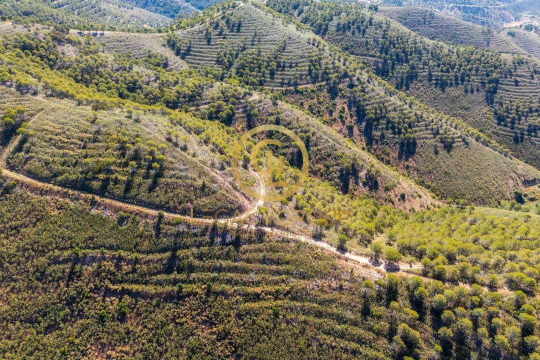 Terreno para Venda em Cachopo Foto 6