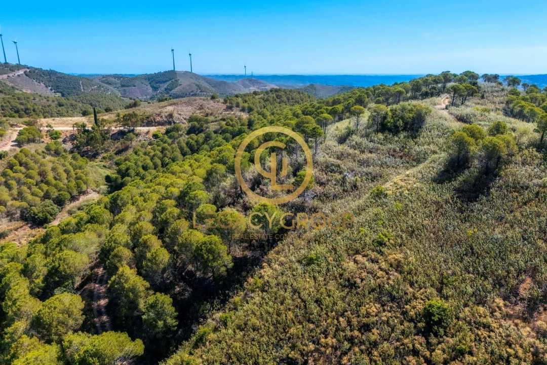 Terreno para Venda em Cachopo Foto 13