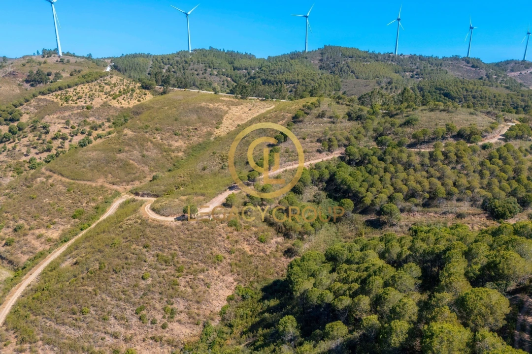 Terreno para Venda em Cachopo Foto 15