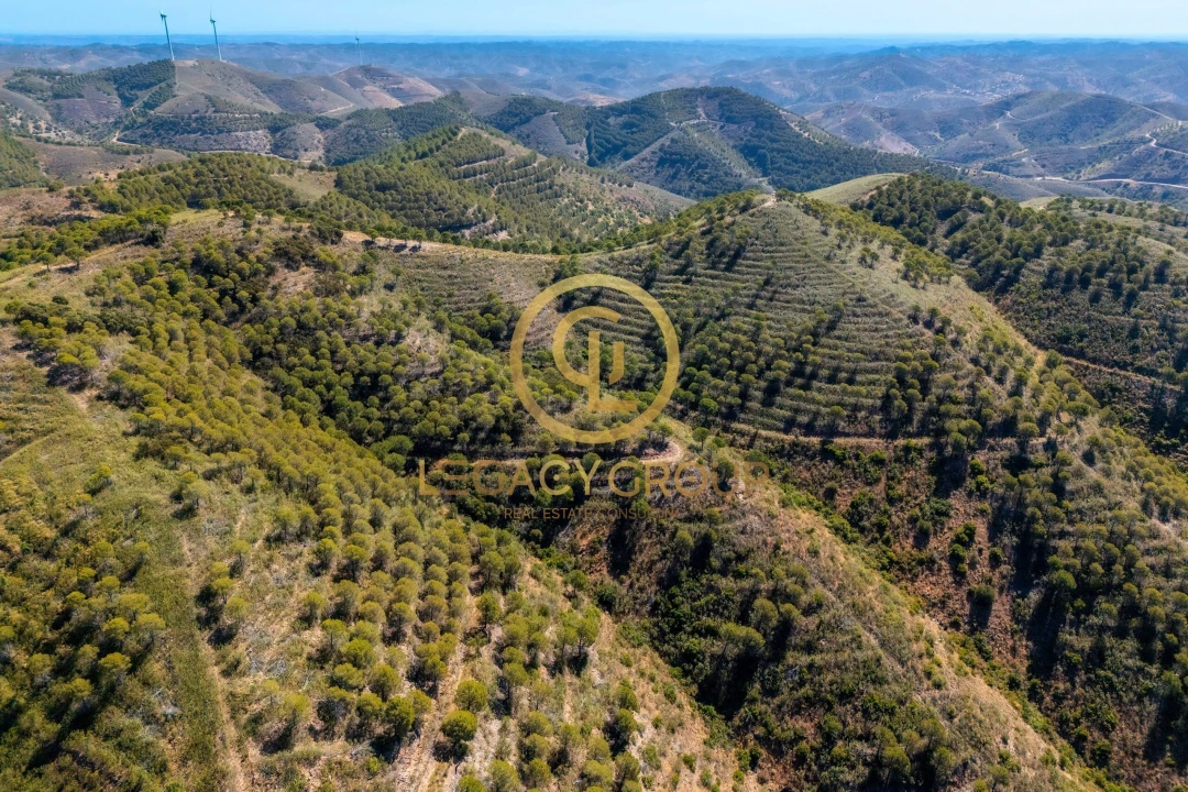 Terreno para Venda em Cachopo Foto 11
