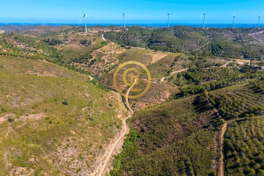 Terreno para Venda em Cachopo Foto 10