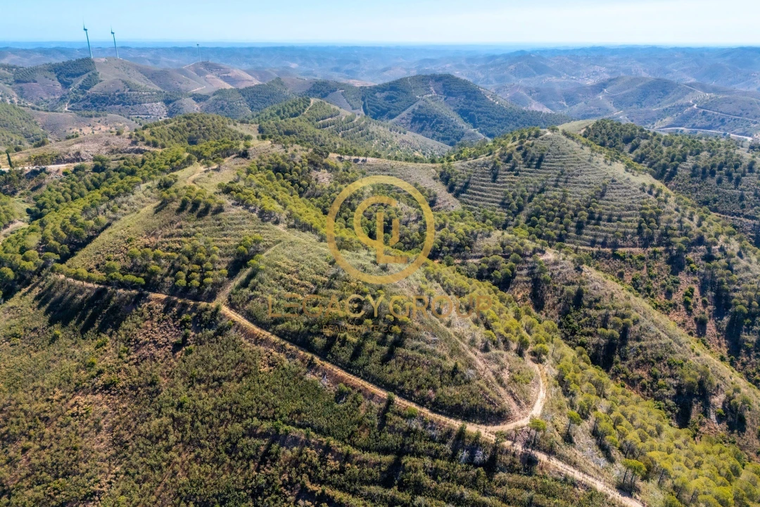 Terreno para Venda em Cachopo Foto 8