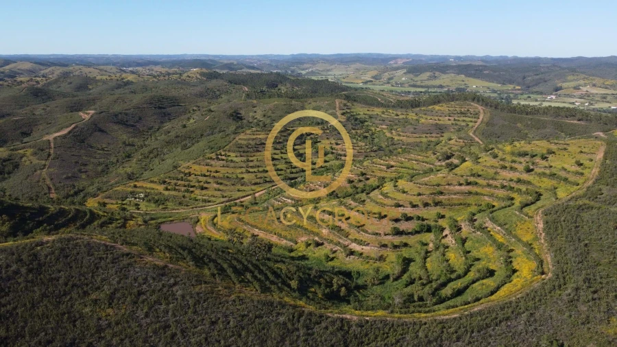 Terreno para Venda em Saboia Foto 6