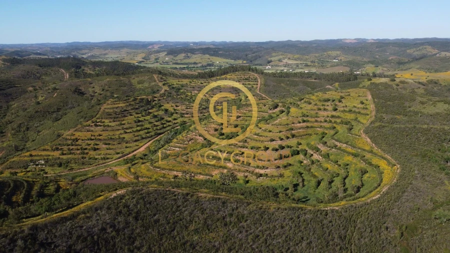 Terreno para Venda em Saboia Foto 2