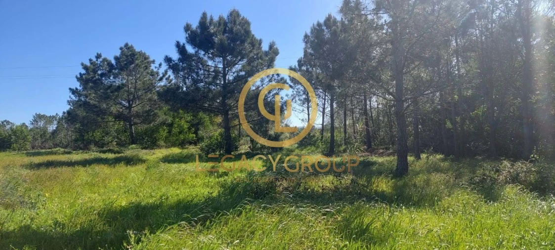 Terreno para Venda em Rogil Foto 13