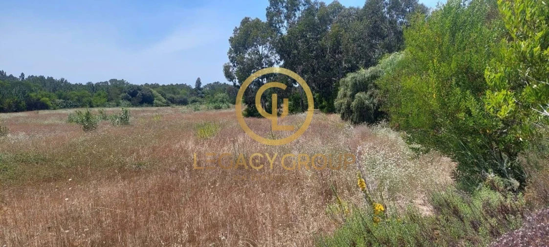 Terreno para Venda em Rogil Foto 11