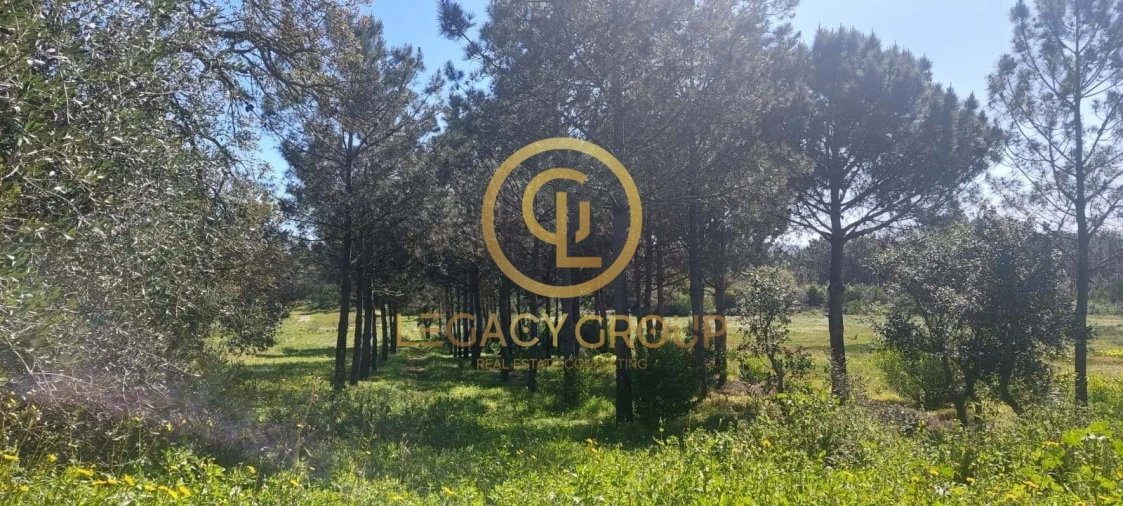 Terreno para Venda em Rogil Foto 15