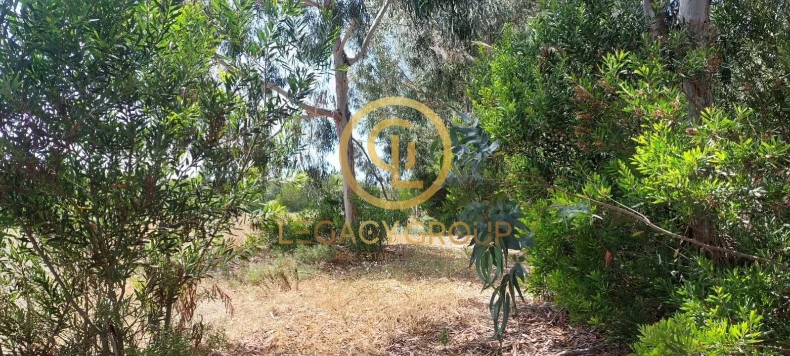 Terreno para Venda em Rogil Foto 3