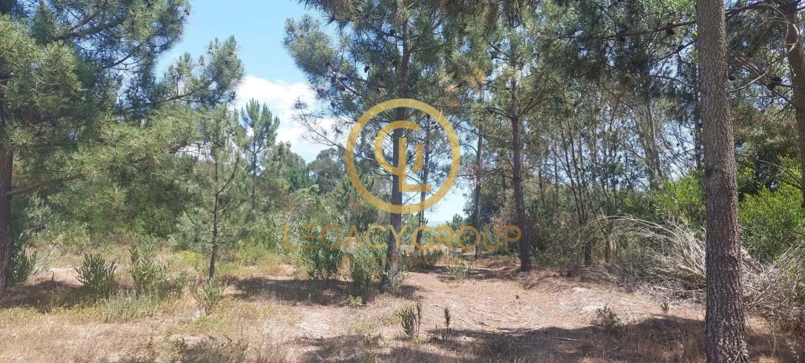 Terreno para Venda em Rogil Foto 9