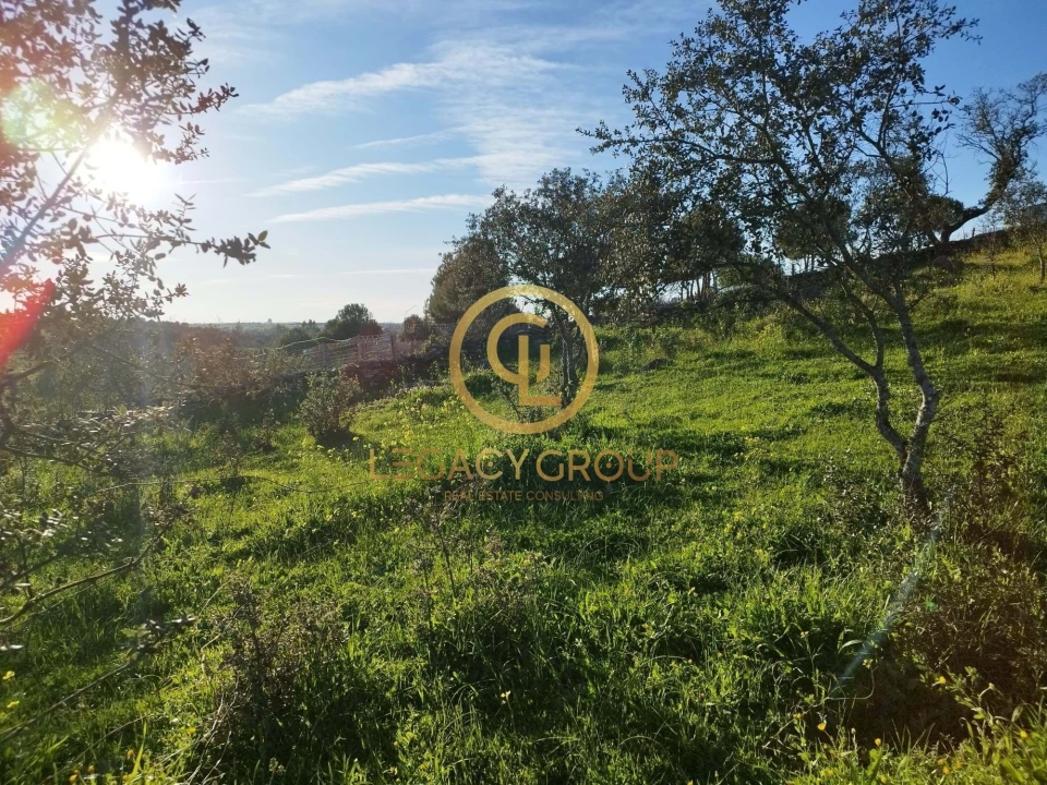 Terreno para Venda em Santiago Maior Foto 19