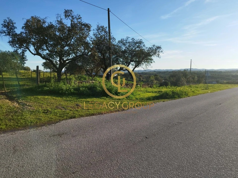 Terreno para Venda em Santiago Maior Foto 3